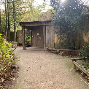 South American coati enclosure 201121