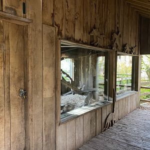 South American coati enclosure 201121