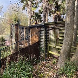Cottontop tamarin enclosure 201121