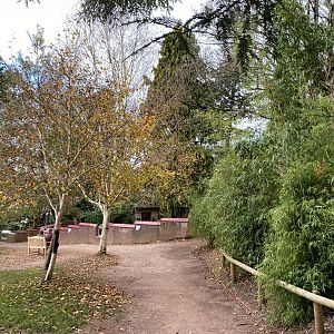 View towards Red panda enclosure 201121
