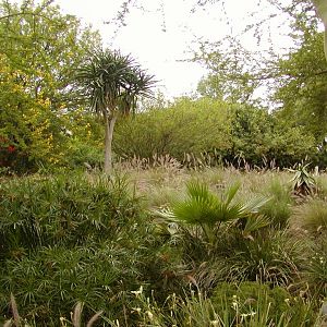 Heart of Africa landscape
