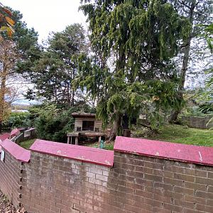 Nepalese red panda enclosure 201121