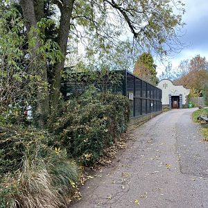 Cottage Aviary 201121