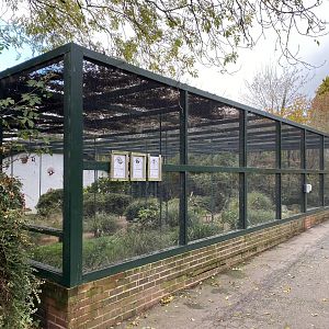 Cottage Aviary 201121