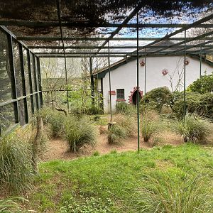 Cottage Aviary 201121