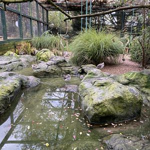 Cottage Aviary 201121