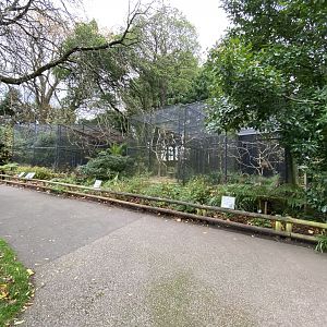 Parrot aviaries 201121