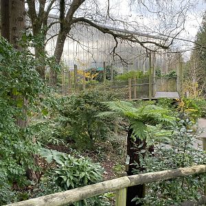 View towards Crocodile Swamp 201121