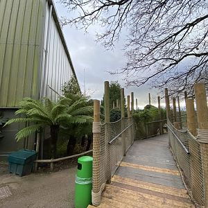 Crocodile Swamp 201121