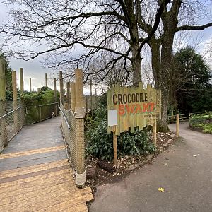 Crocodile Swamp 201121