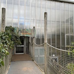 Crocodile Swamp 201121