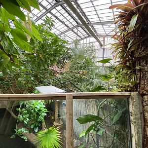 Crocodile Swamp 201121