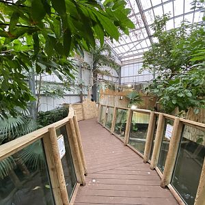 Crocodile Swamp 201121