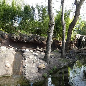 Otter Grotto, Discovery Island Trails - Jan. 2022