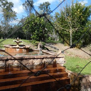 1st Tiger Exhibit, Maharajah Jungle Trek - Jan. 2022