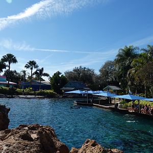 Dolphin Cove, Key West - Jan. 2022