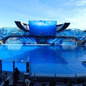 Orca Encounter - Jan. 2022