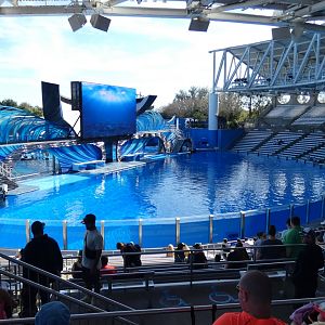 Orca Encounter - Jan. 2022