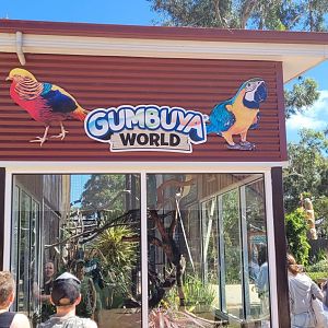 Macaw & Golden Pheasant Aviary