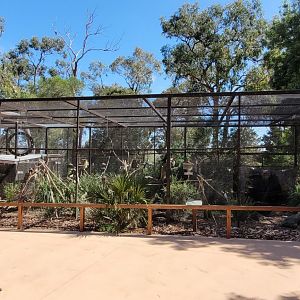 Exotic Parrots Aviary