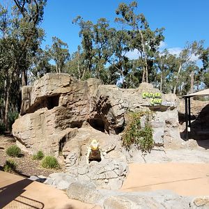 Critter Cave and presentation area