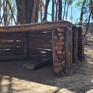Kangaroo shelter