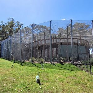 Outside view of walk thru Aviary