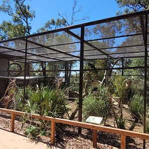 Another view of parrot aviary