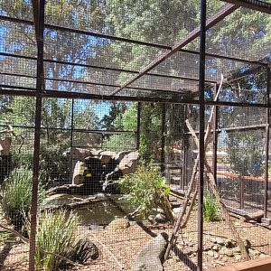 Water feature in parrot aviary