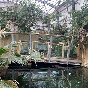 Crocodile Swamp 201121