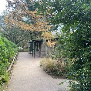 View towards Meerkat exhibit 201121