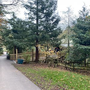 View towards Monkey Heights 201121