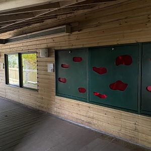 Monkey Heights - Pygmy slow loris exhibit 201121