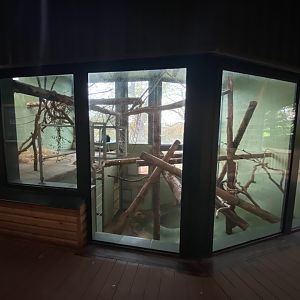 Monkey Heights - King colobus exhibit 201121