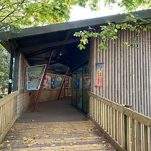 Monkey Heights 201121