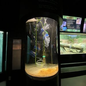 Plastic Exhibit