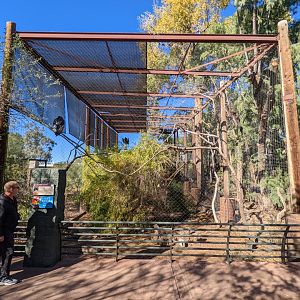 California condor aviary