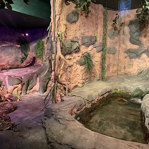 Reticulated Python Enclosure