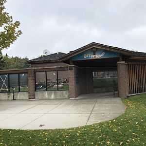 Ottertown - North American River Otter exhibit