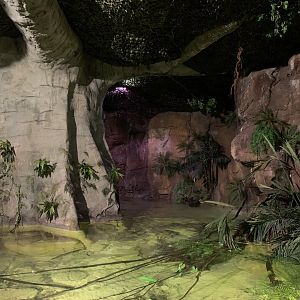 Swamp Exhibit