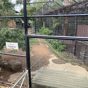 Hyena Encounter Feeding Station