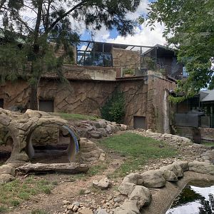 Hyena Exhibit