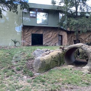 Hyena Exhibit and Jamala Lodge