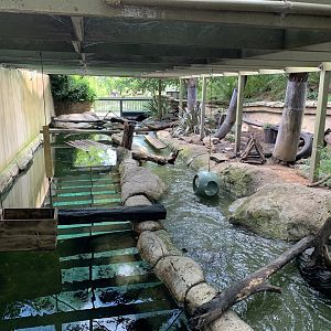 Otter Exhibit