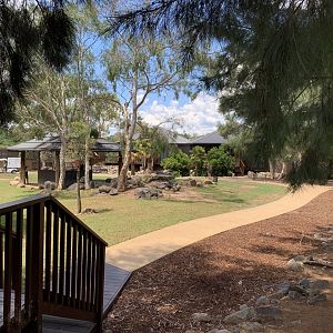 Giraffe Treetops Entrance