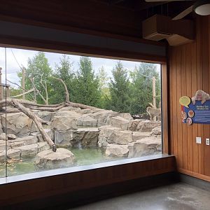 Snow Monkey exhibit