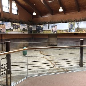 Black Rhinoceros indoor exhibit