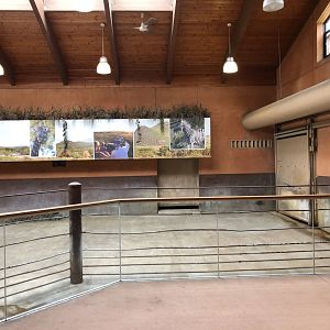 Black Rhinoceros indoor exhibit