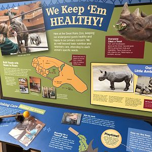 Black Rhino graphics