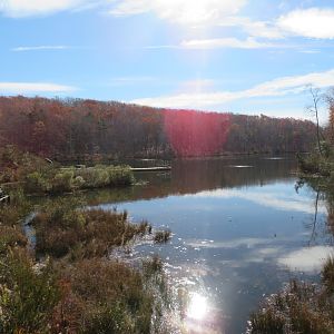 View of Lake/Wetland